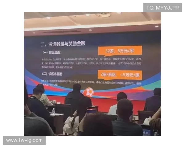 苏超南京赛区小微企业赞助仅需1万元